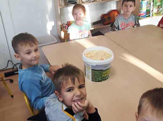 GR III Kisimy kapustę