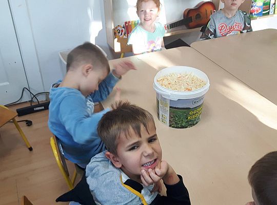 GR III Kisimy kapustę