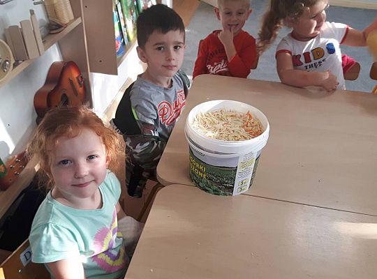 GR III Kisimy kapustę