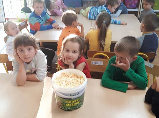 GR III Kisimy kapustę