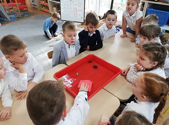 GR III Eksperymentujemy z wodą