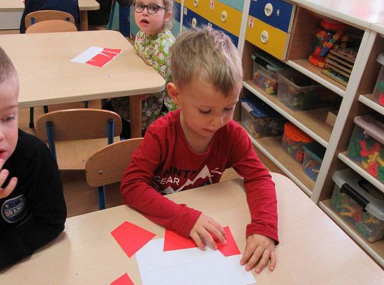 Polska Moja Ojczyzna gr II