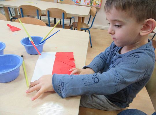 Polska Moja Ojczyzna gr II