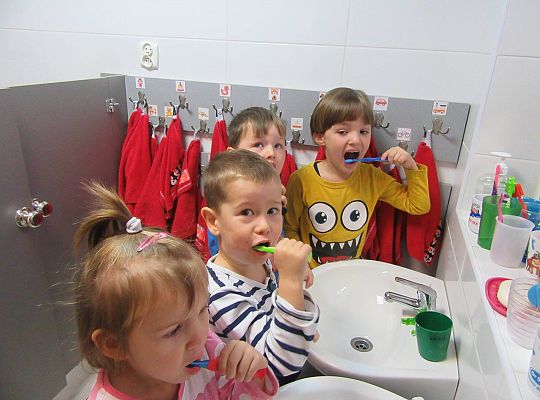 Gr II Myjemy zęby