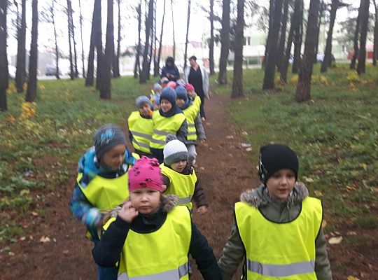 GR III Wizyta w Bibliotece - Teatr cieni