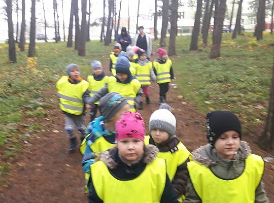 GR III Wizyta w Bibliotece - Teatr cieni