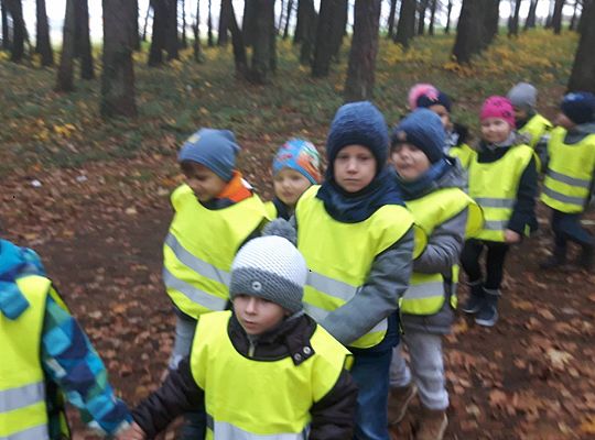 GR III Wizyta w Bibliotece - Teatr cieni