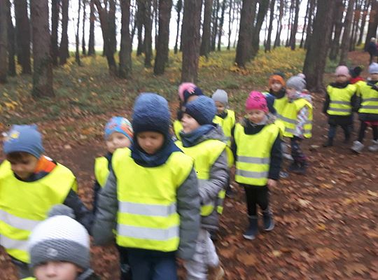 GR III Wizyta w Bibliotece - Teatr cieni