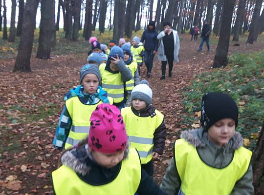 GR III Wizyta w Bibliotece - Teatr cieni