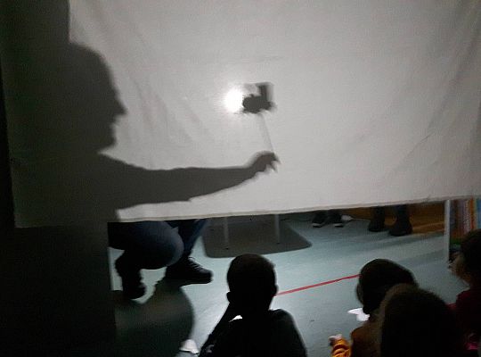 GR III Wizyta w Bibliotece - Teatr cieni