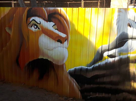 Zmiany - modernizacja ogrodu