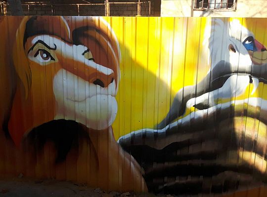 Zmiany - modernizacja ogrodu