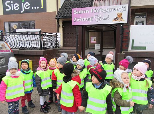 gr II Wycieczka do sklepu zoologicznego