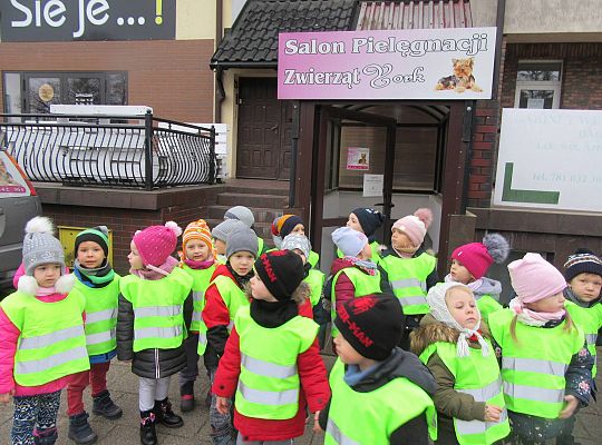 gr II Wycieczka do sklepu zoologicznego