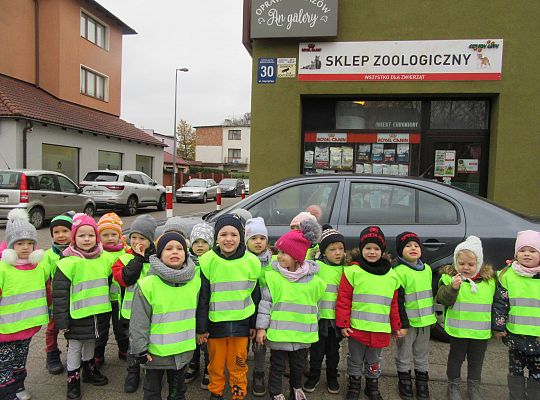 gr II Wycieczka do sklepu zoologicznego