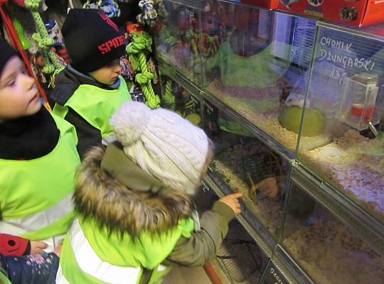 gr II Wycieczka do sklepu zoologicznego