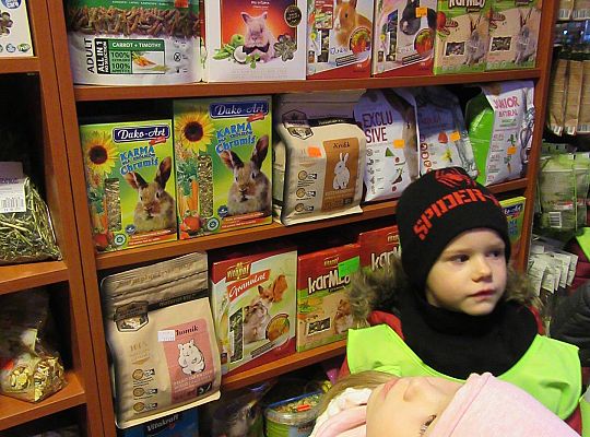 gr II Wycieczka do sklepu zoologicznego