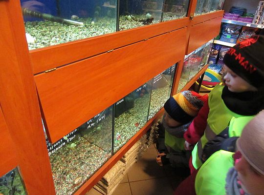 gr II Wycieczka do sklepu zoologicznego