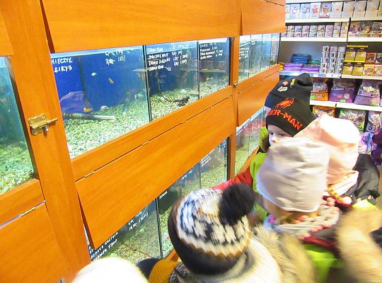 gr II Wycieczka do sklepu zoologicznego