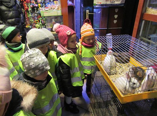 gr II Wycieczka do sklepu zoologicznego