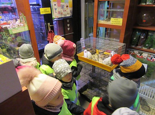 gr II Wycieczka do sklepu zoologicznego