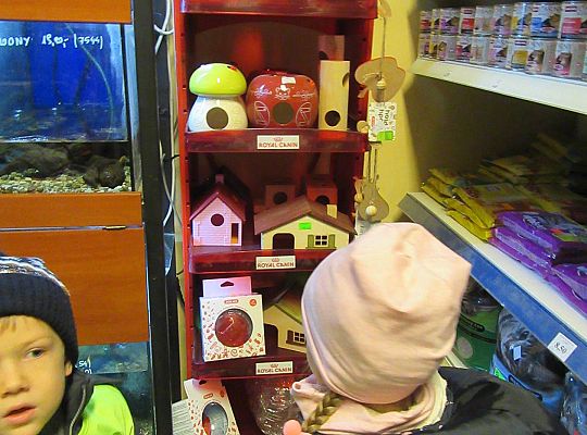 gr II Wycieczka do sklepu zoologicznego