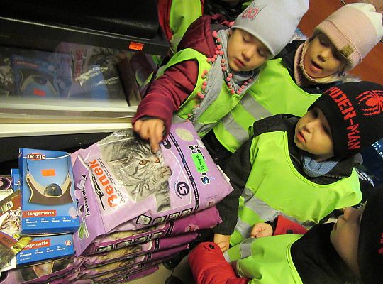 gr II Wycieczka do sklepu zoologicznego