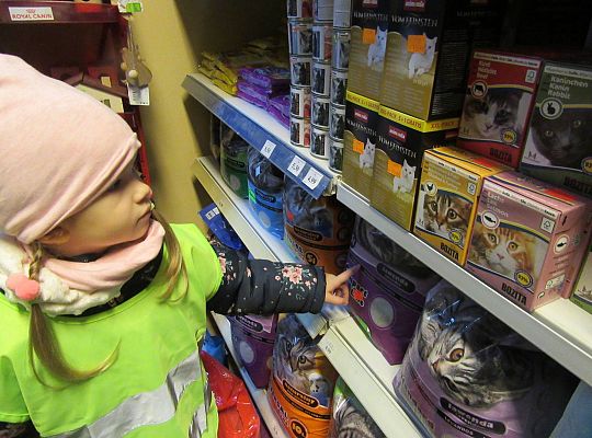 gr II Wycieczka do sklepu zoologicznego