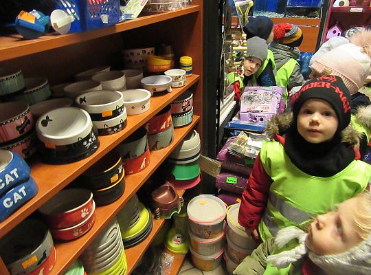 gr II Wycieczka do sklepu zoologicznego