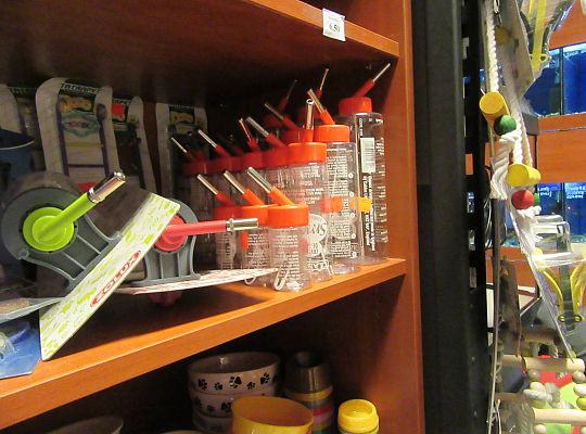 gr II Wycieczka do sklepu zoologicznego