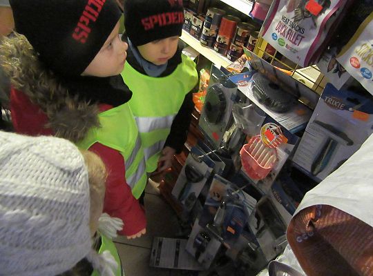 gr II Wycieczka do sklepu zoologicznego