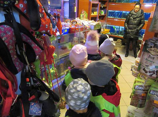 gr II Wycieczka do sklepu zoologicznego