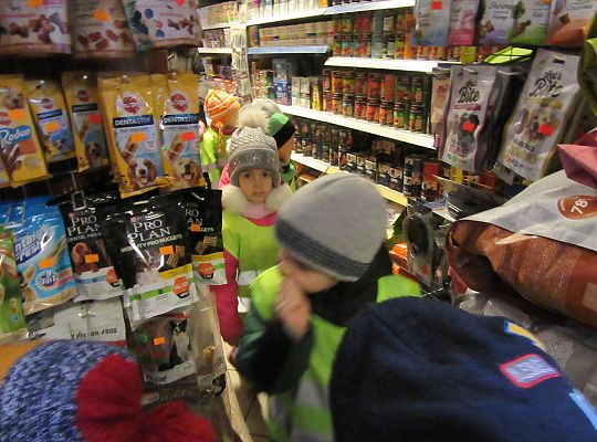 gr II Wycieczka do sklepu zoologicznego