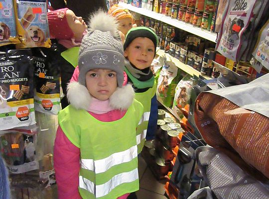 gr II Wycieczka do sklepu zoologicznego