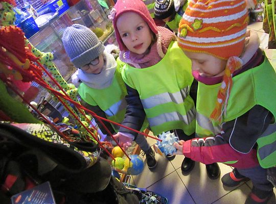 gr II Wycieczka do sklepu zoologicznego