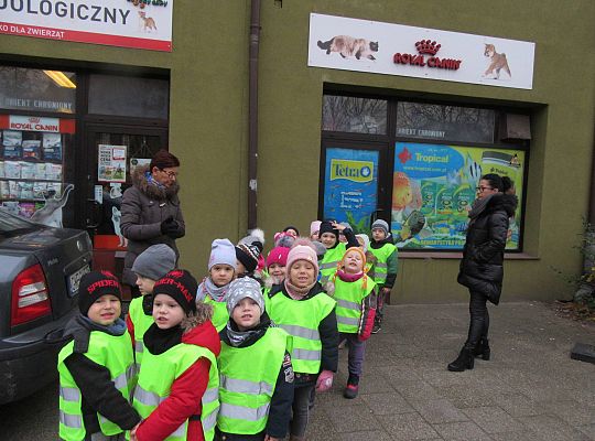 gr II Wycieczka do sklepu zoologicznego
