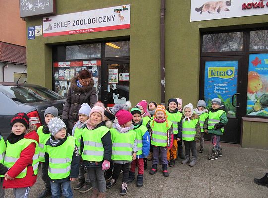 gr II Wycieczka do sklepu zoologicznego