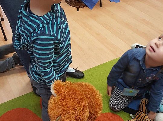 gr I Dzień Pluszowego misia