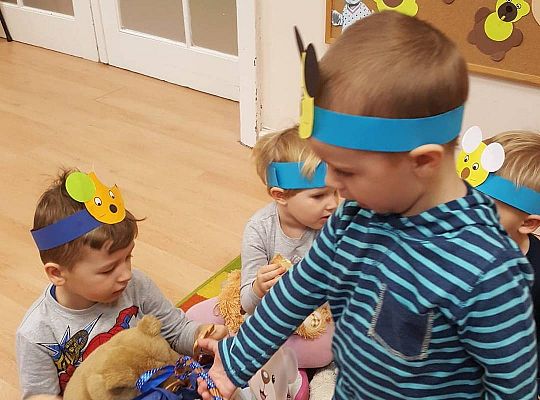 gr I Dzień Pluszowego misia