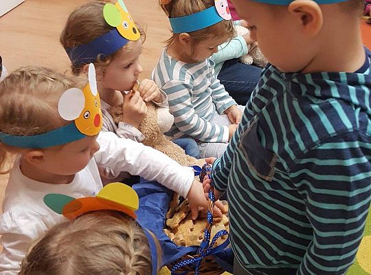 gr I Dzień Pluszowego misia