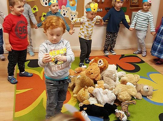 gr I Dzień Pluszowego misia