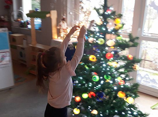 GR III Stroimy Choinkę