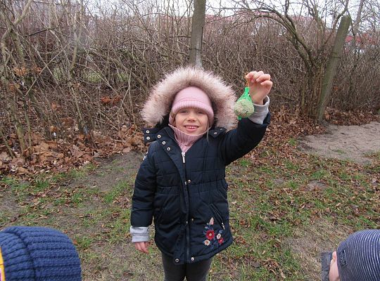 gr II Dbamy o ptaki zimą