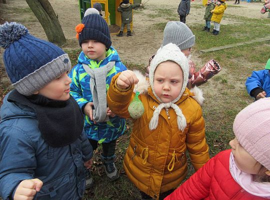 gr II Dbamy o ptaki zimą