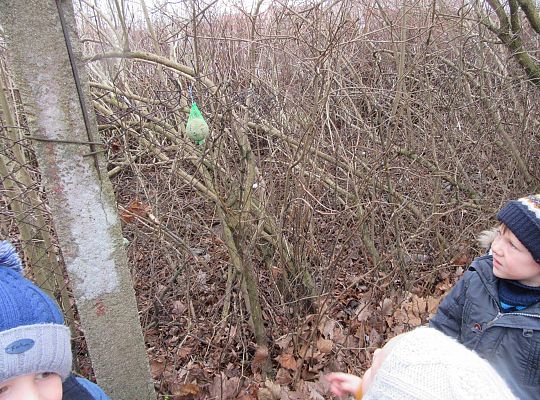 gr II Dbamy o ptaki zimą