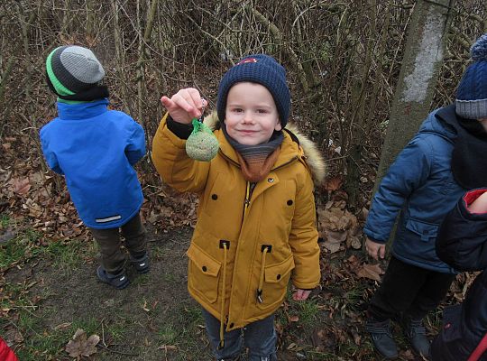 gr II Dbamy o ptaki zimą