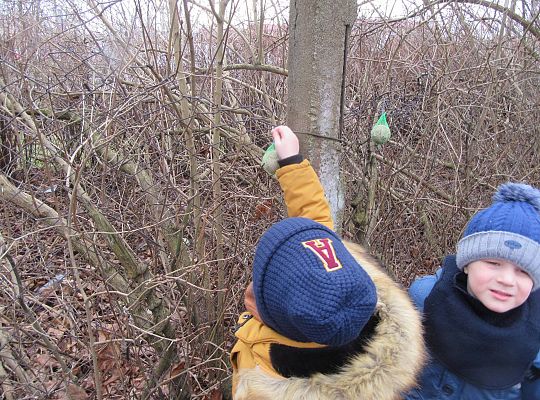 gr II Dbamy o ptaki zimą