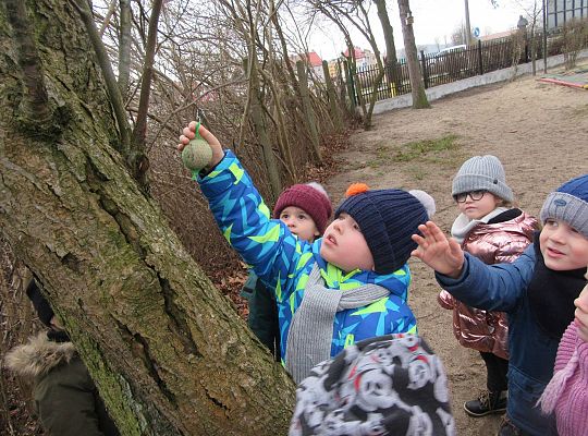 gr II Dbamy o ptaki zimą