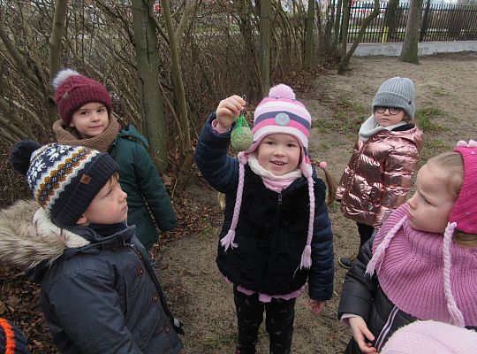 gr II Dbamy o ptaki zimą