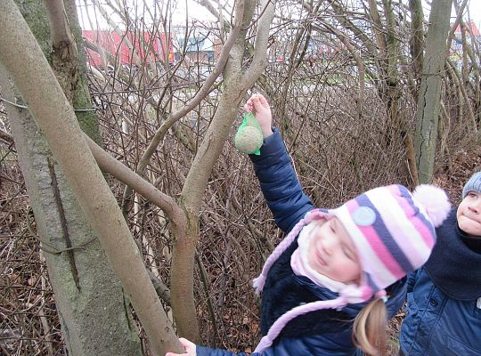 gr II Dbamy o ptaki zimą